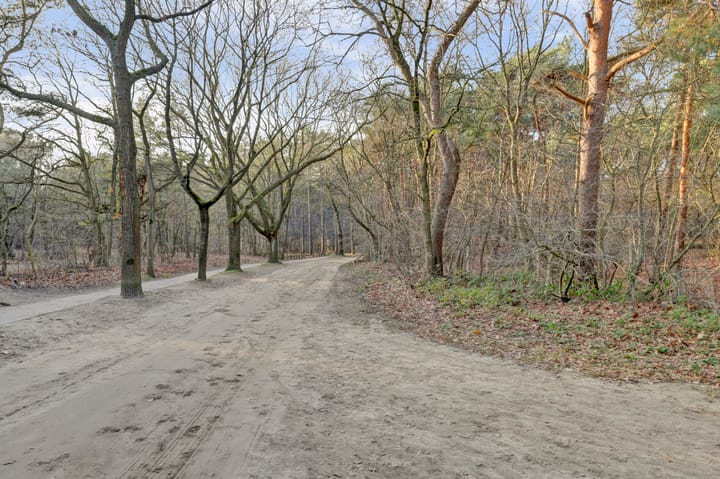 Photo 46 of Citroenvlinderhof 20