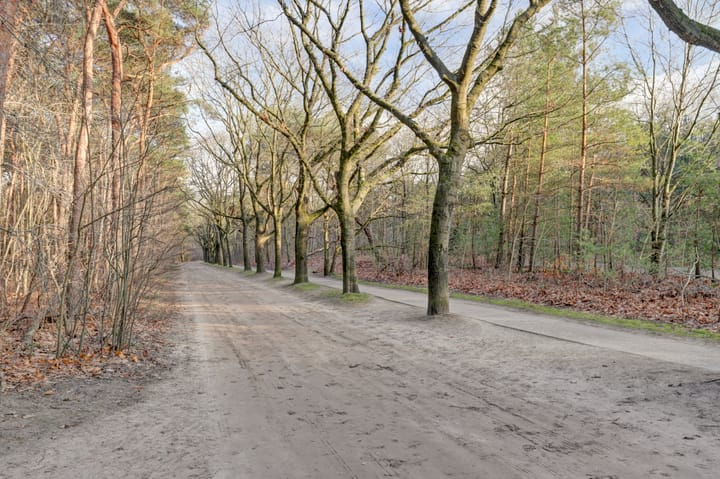 Photo 47 of Citroenvlinderhof 20