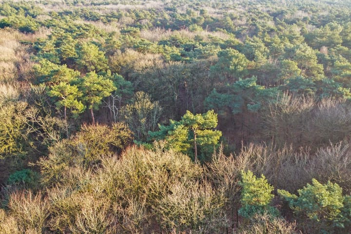 Photo 51 of Citroenvlinderhof 20