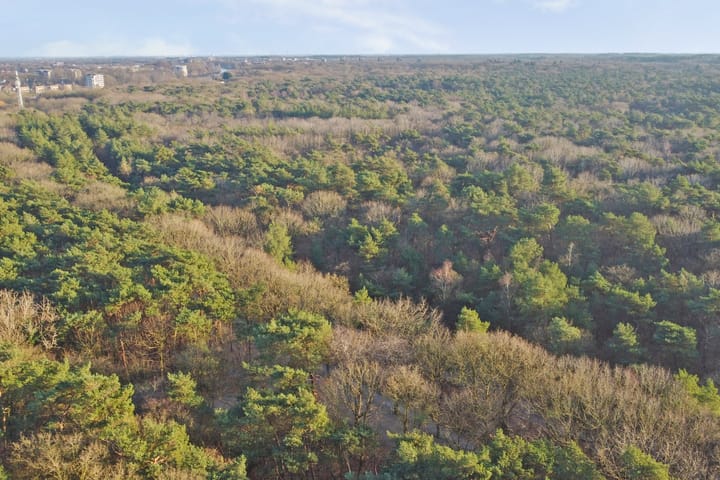 Photo 52 of Citroenvlinderhof 20