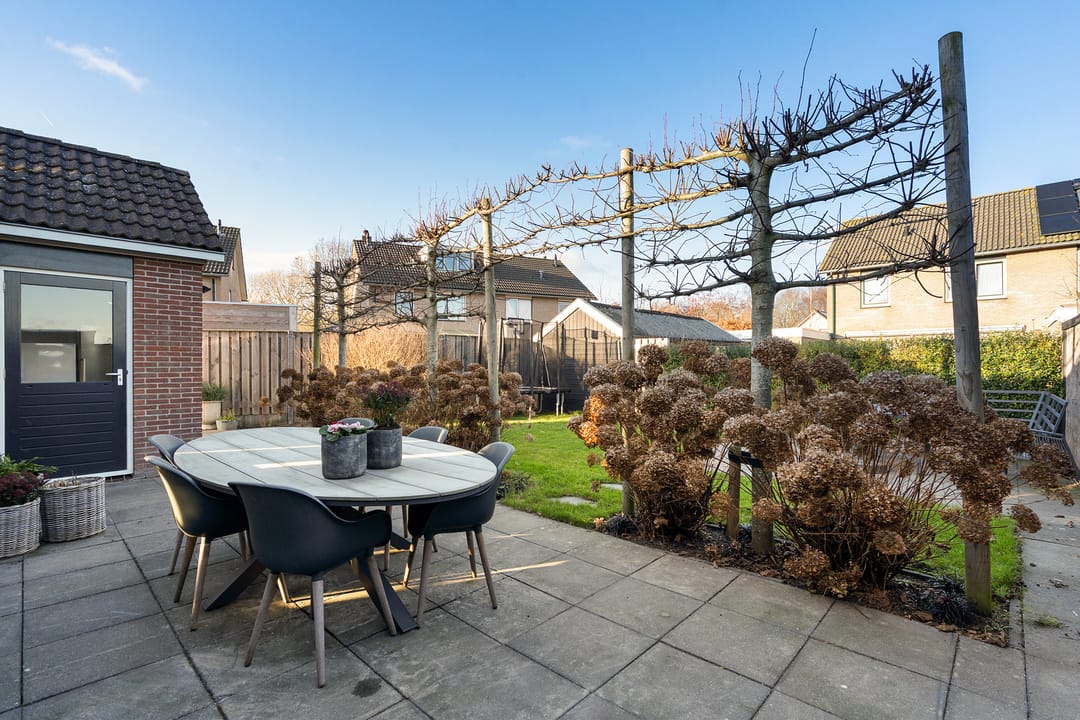 Foto 43 van Buizerdstraat 26