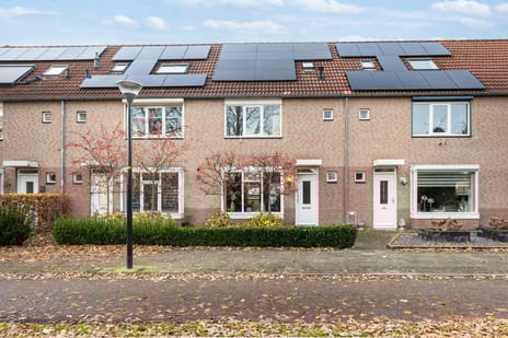 undefined main image