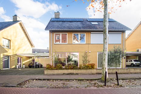 undefined main image