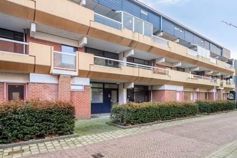 undefined main image