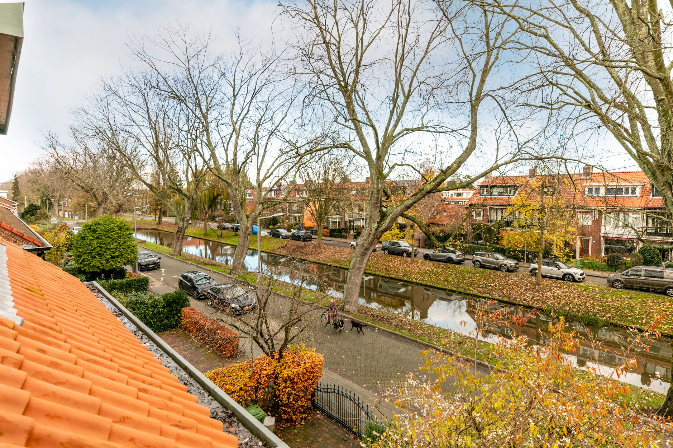 Foto 30 van Van Ballegooijsingel 31