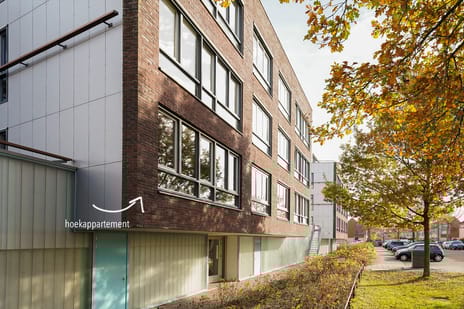 Oldenallerhout 74 secondary image