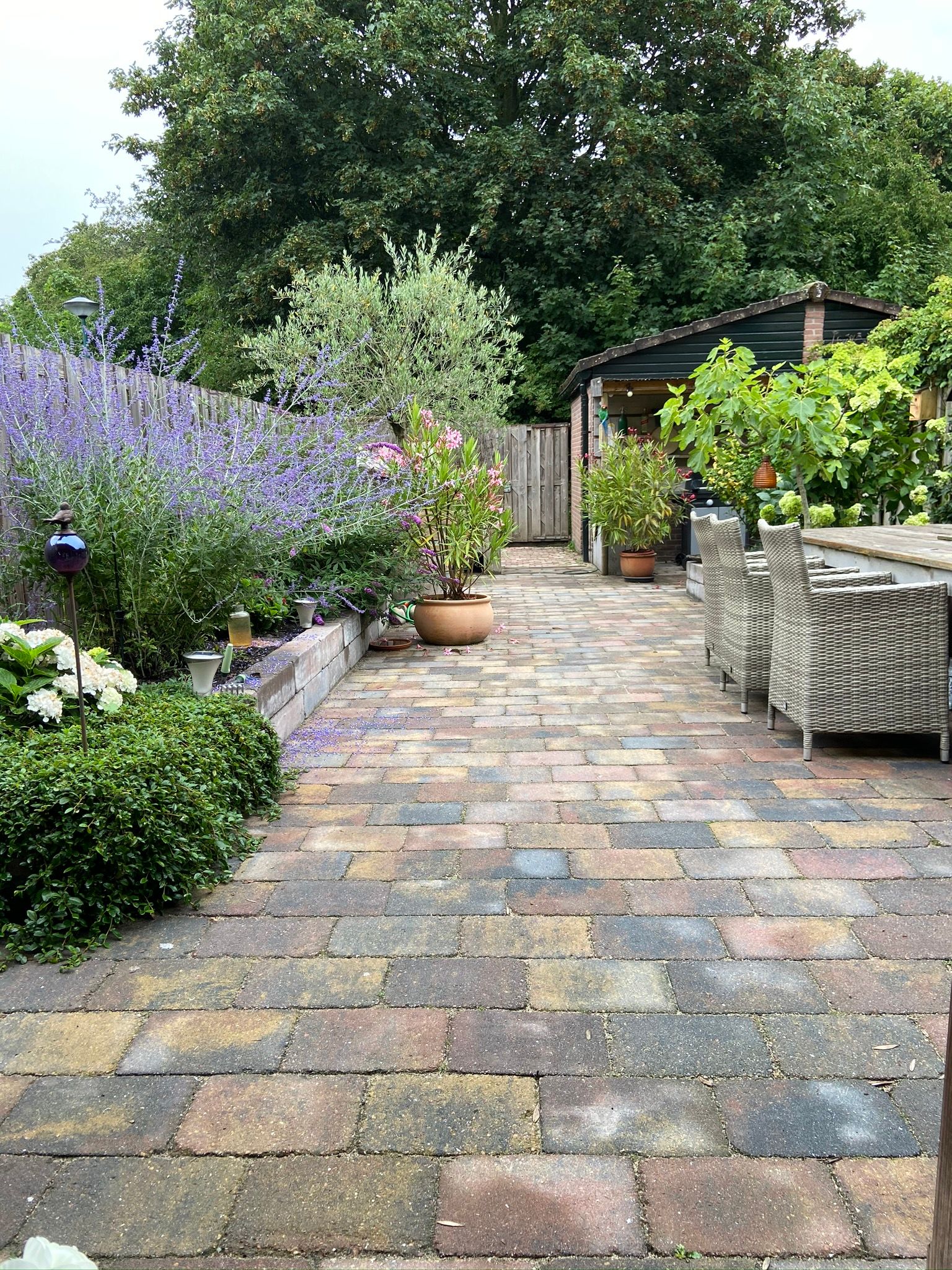 Foto 24 van Druivengaard 8