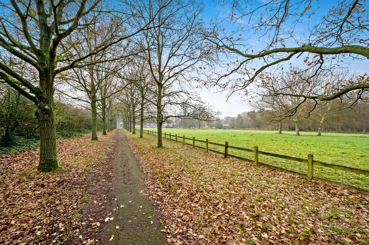 Photo 43 of De Mildestraat 44