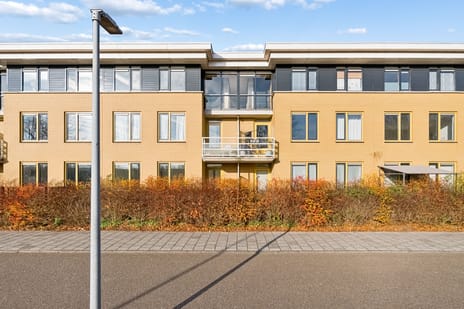 Voorjaarstraat thumbnail