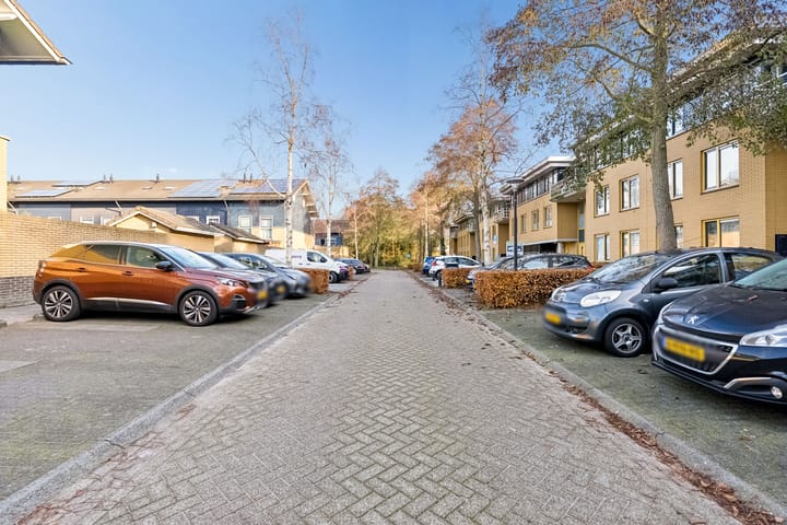 Foto 43 van Voorjaarstraat 26