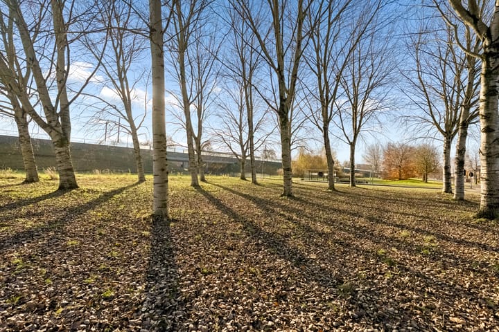 Foto 46 van Voorjaarstraat 26