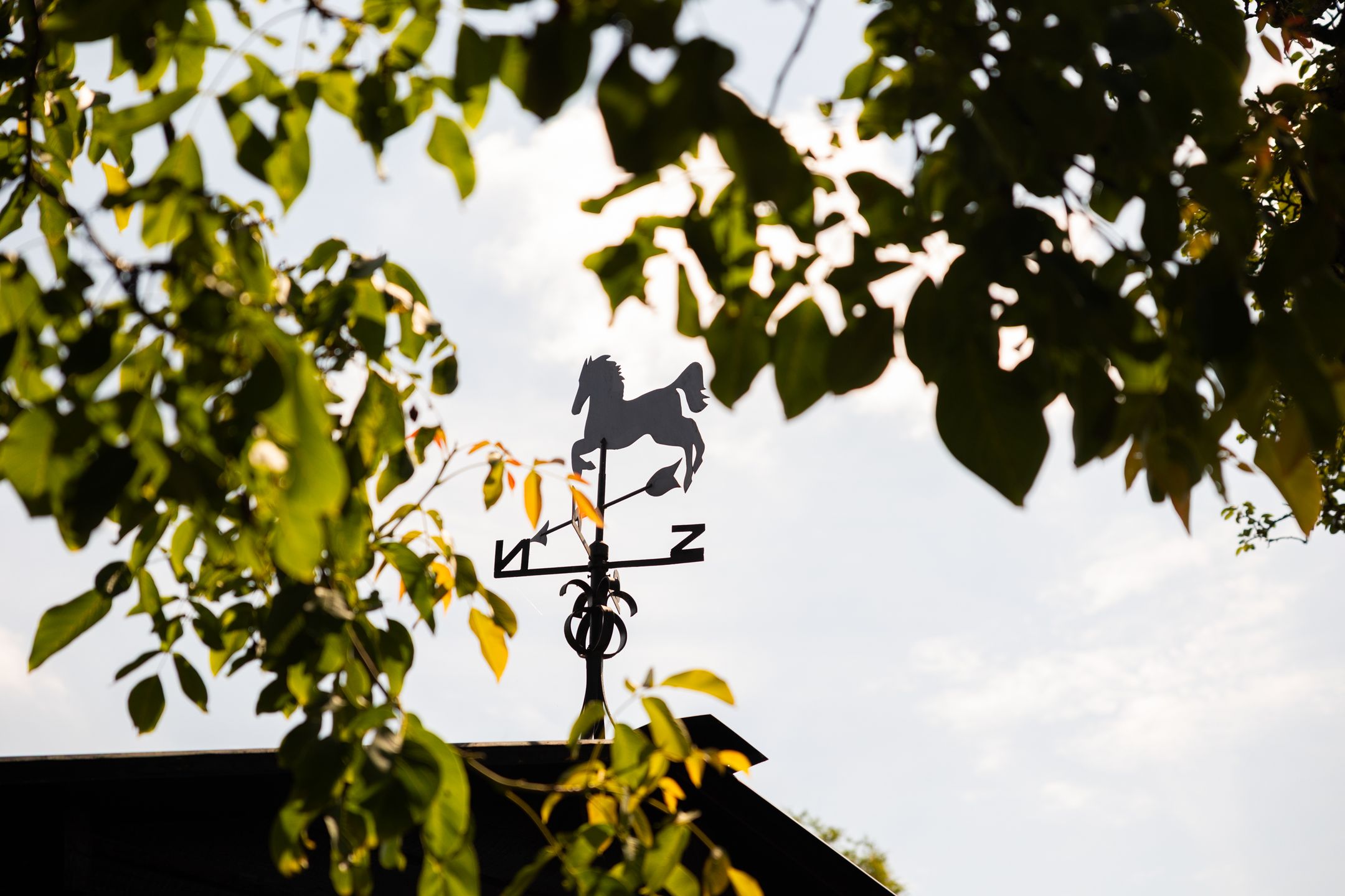 Foto 63 van Zutphenseweg 118