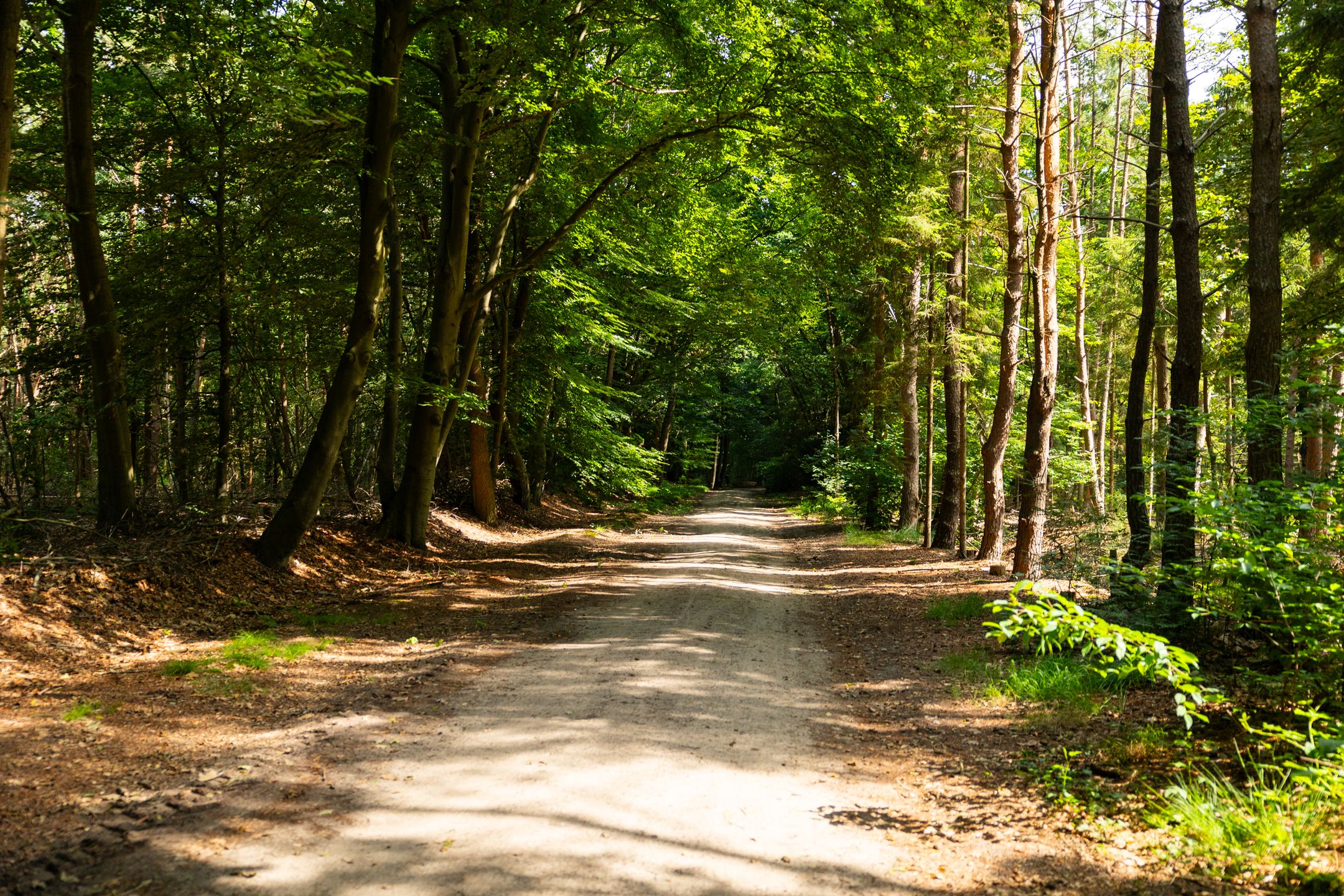 Foto 69 van Zutphenseweg 118