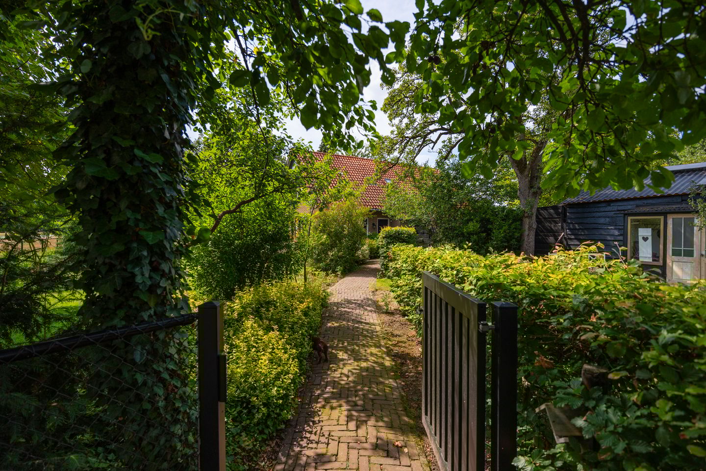 Foto 74 van Zutphenseweg 118