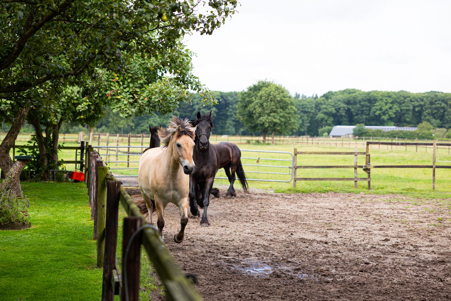 Foto 80 van Zutphenseweg 118