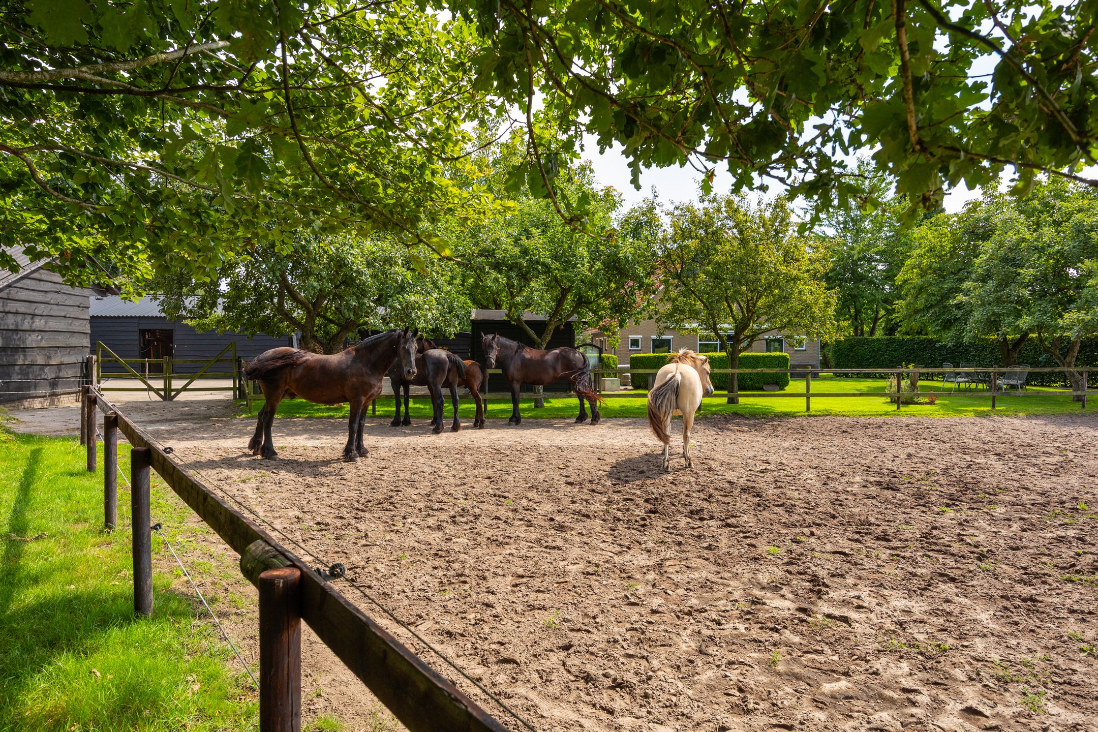 Foto 81 van Zutphenseweg 118