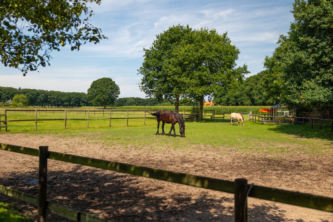 Foto 82 van Zutphenseweg 118