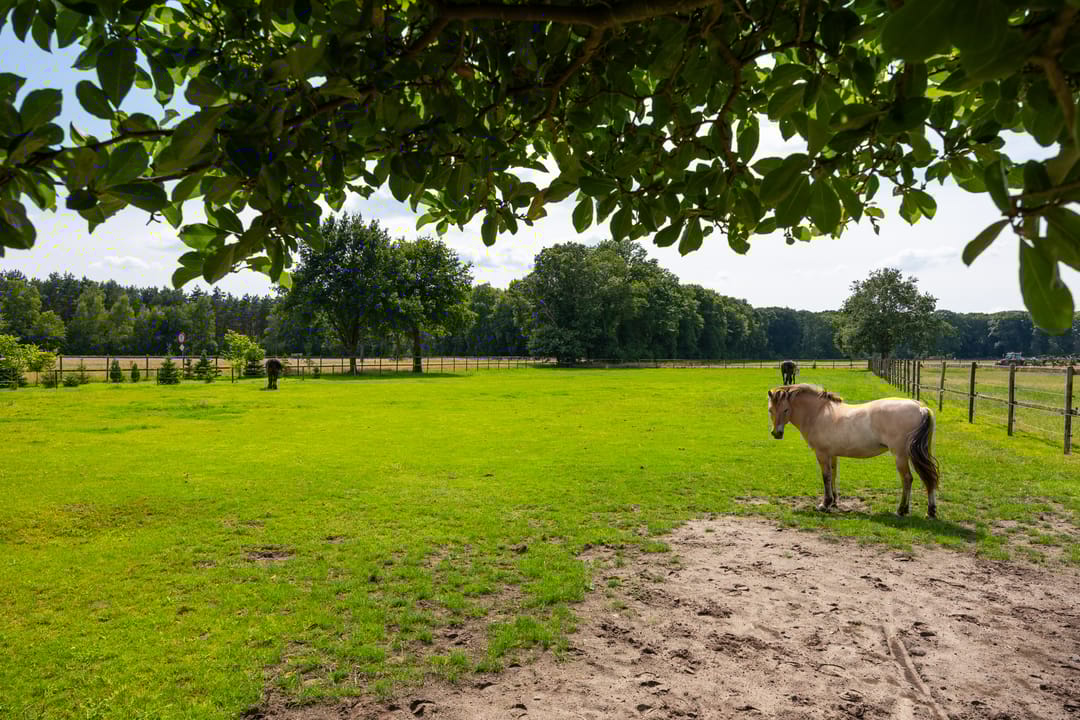 Foto 83 van Zutphenseweg 118