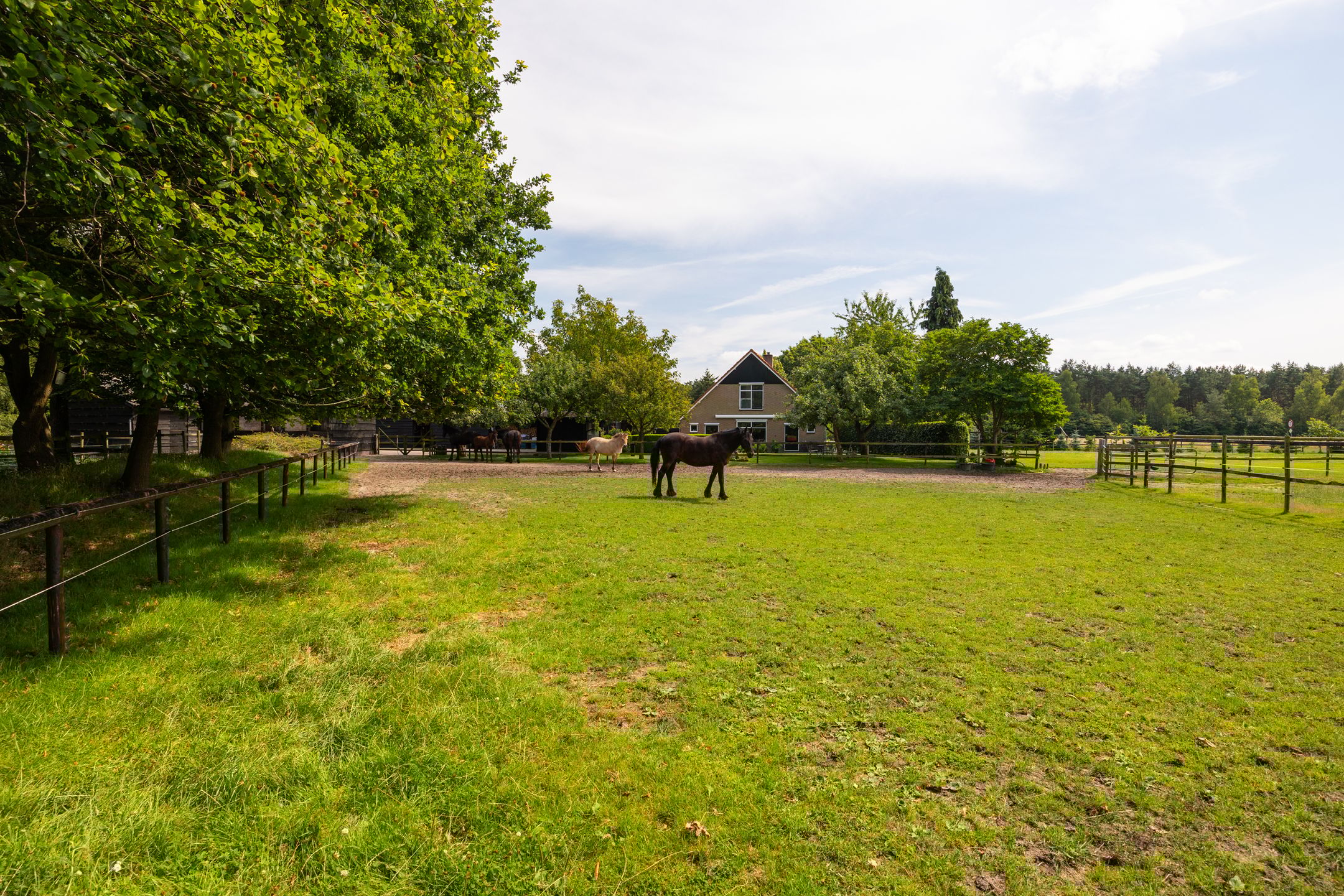 Foto 84 van Zutphenseweg 118