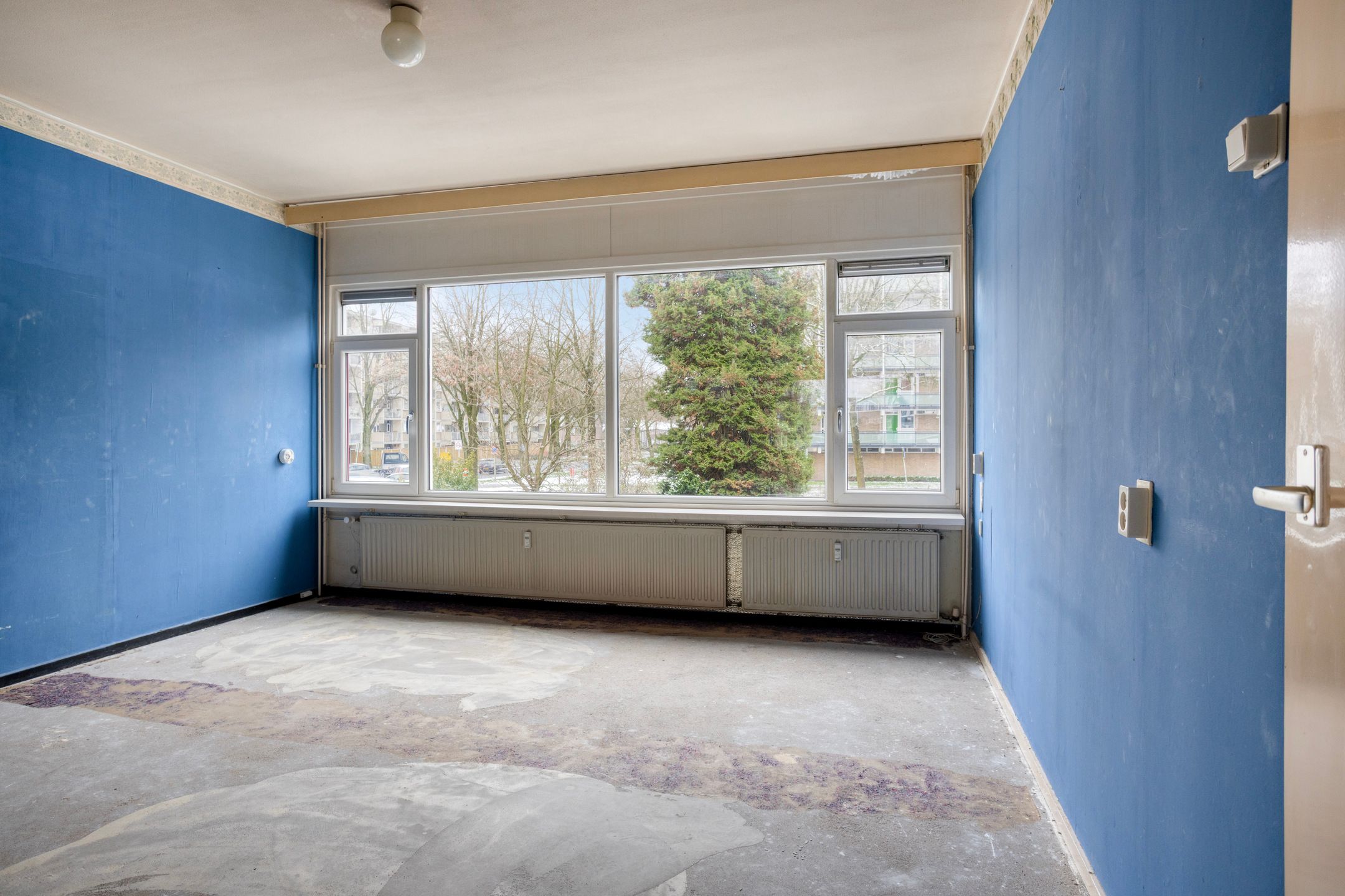 Foto 12 van Ypelobrink 117