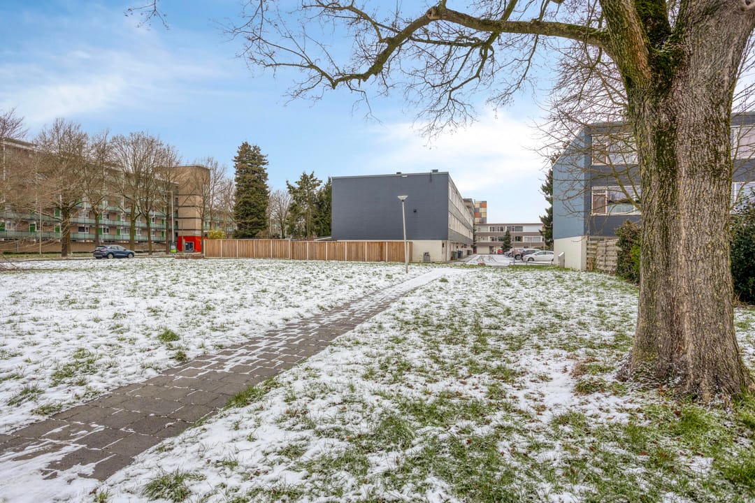 Foto 38 van Ypelobrink 117