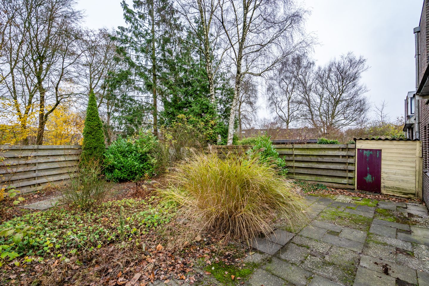 Foto 29 van Leemveld 24