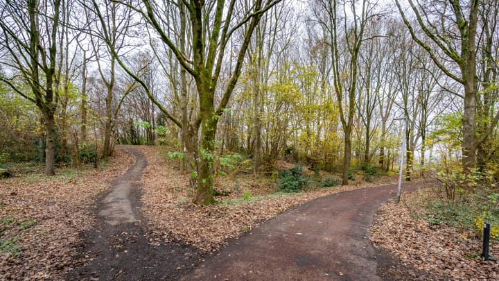 Foto 40 van Leemveld 24