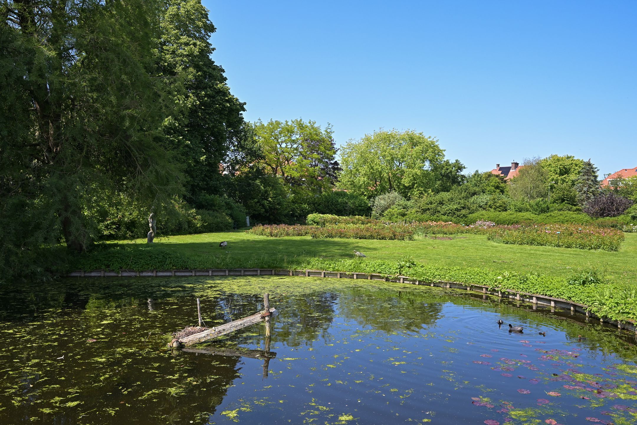 Foto 48 van Kapelweg 5