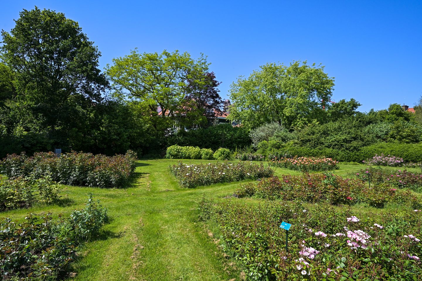 Foto 49 van Kapelweg 5