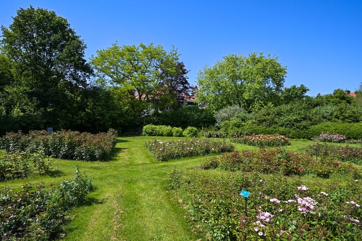 Photo 49 of Kapelweg 5