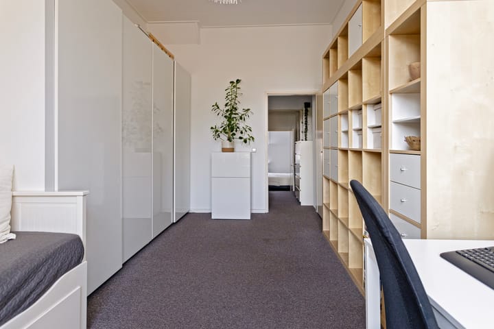 Foto 20 van Graaf Lodewijklaan 47