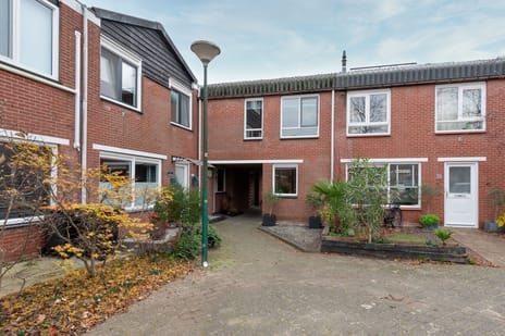 Zebraspoor thumbnail