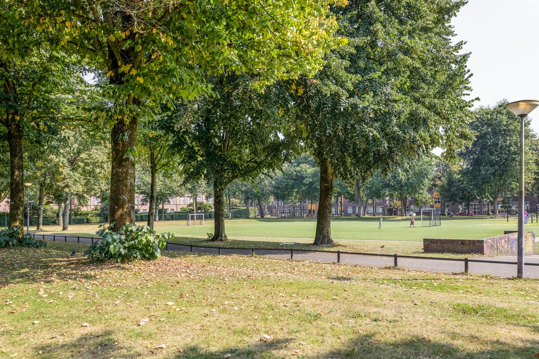 Foto 38 van Graaf Lodewijklaan 47