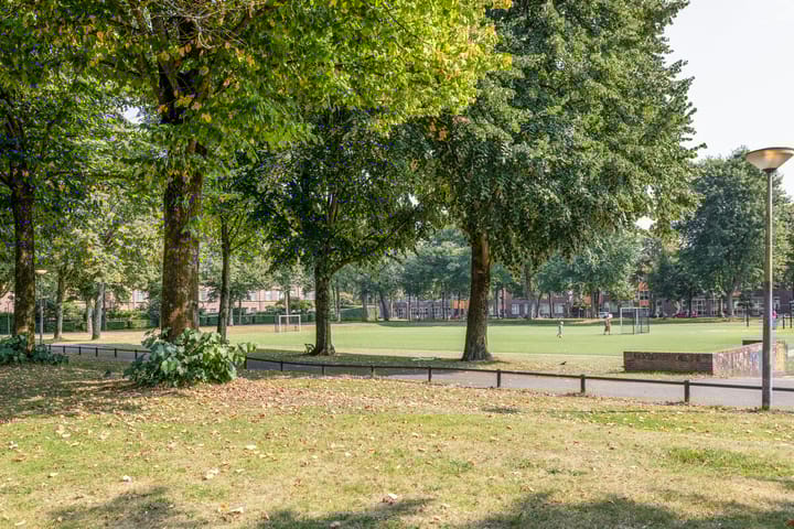 Foto 38 van Graaf Lodewijklaan 47