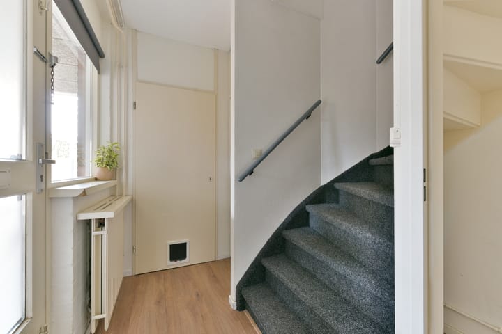 Foto 4 van Zebraspoor 455