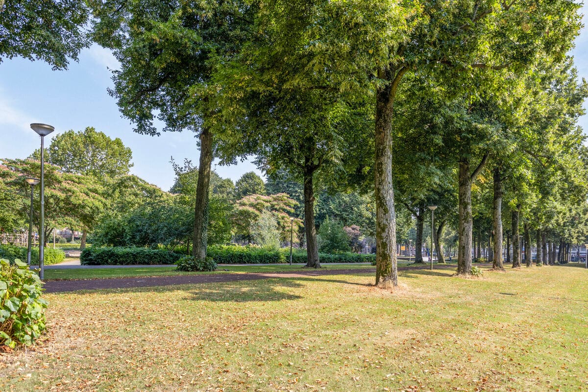 Foto 39 van Graaf Lodewijklaan 47