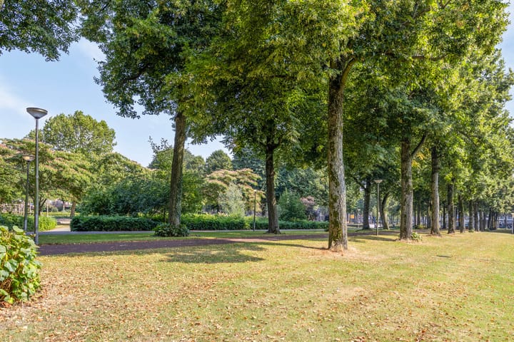 Foto 39 van Graaf Lodewijklaan 47