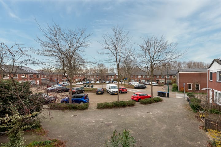 Foto 14 van Zebraspoor 455