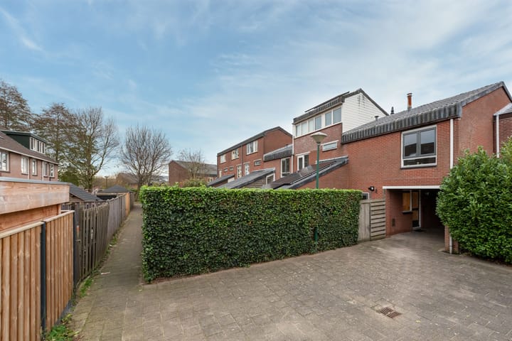 Foto 32 van Zebraspoor 455