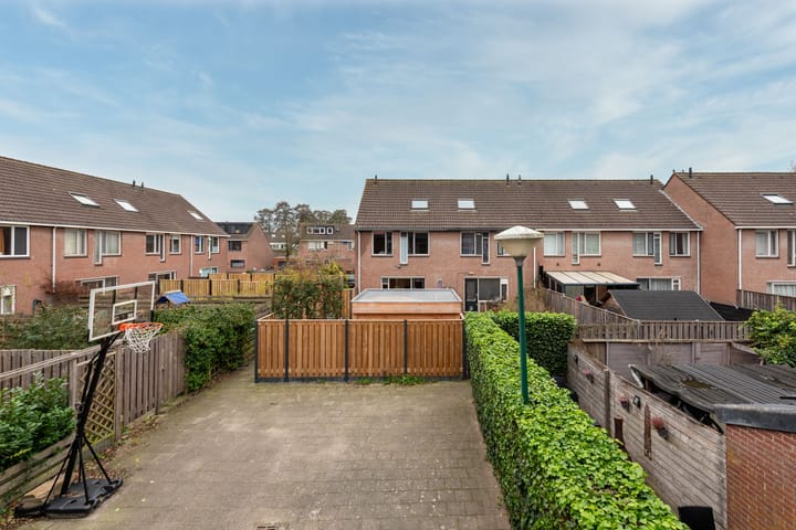 Foto 35 van Zebraspoor 455