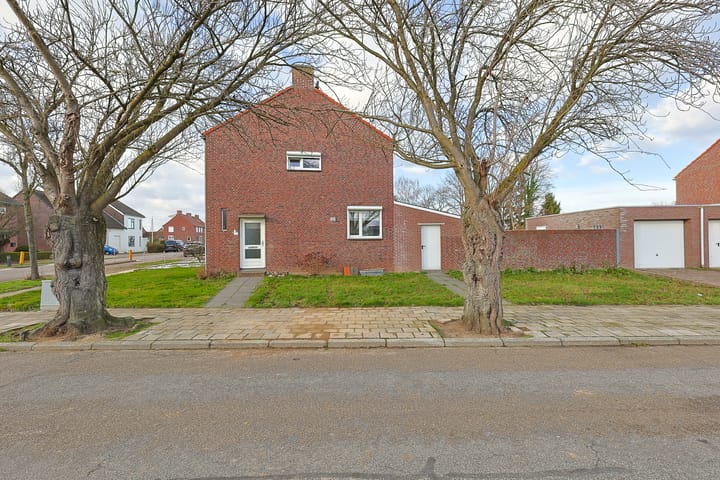 Foto 6 van Theresiastraat 40