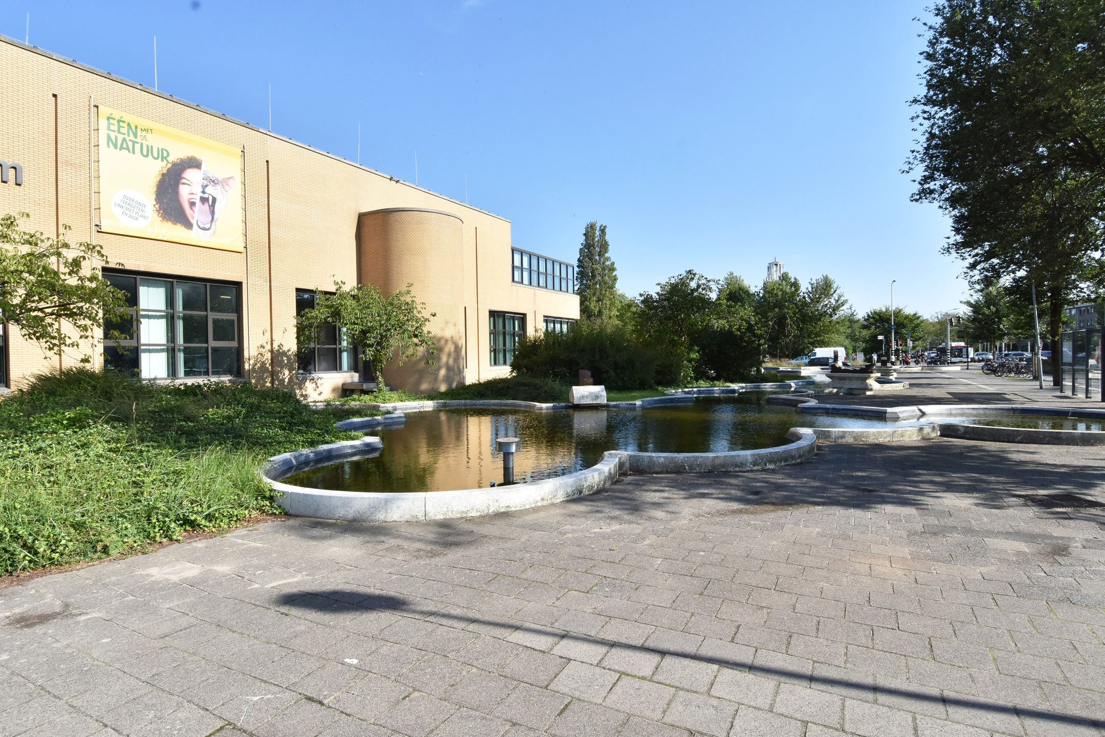 Foto 33 van Cornelis de Wittlaan 14