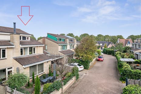 Bosboomstraat thumbnail