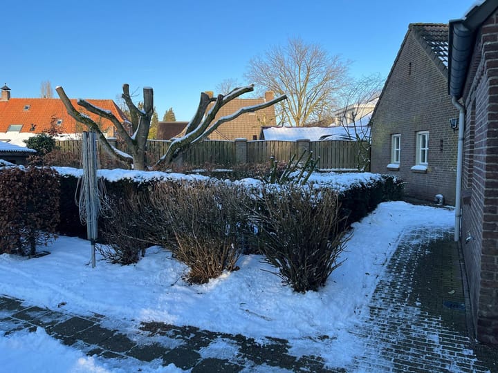 Photo 22 of Beemke 75