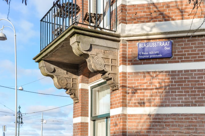 Foto 29 van Blasiusstraat 16-2
