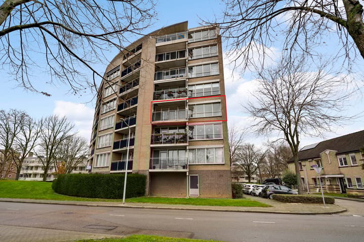 Photo 1 of Salviabeemd 31-D