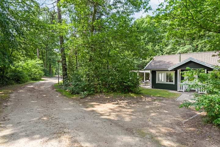 Foto 3 van Witteveen 2-N19