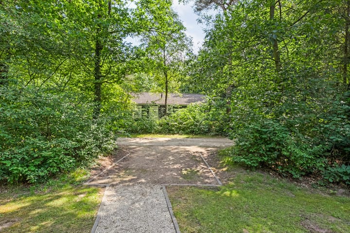 Photo 6 of Witteveen 2-N19