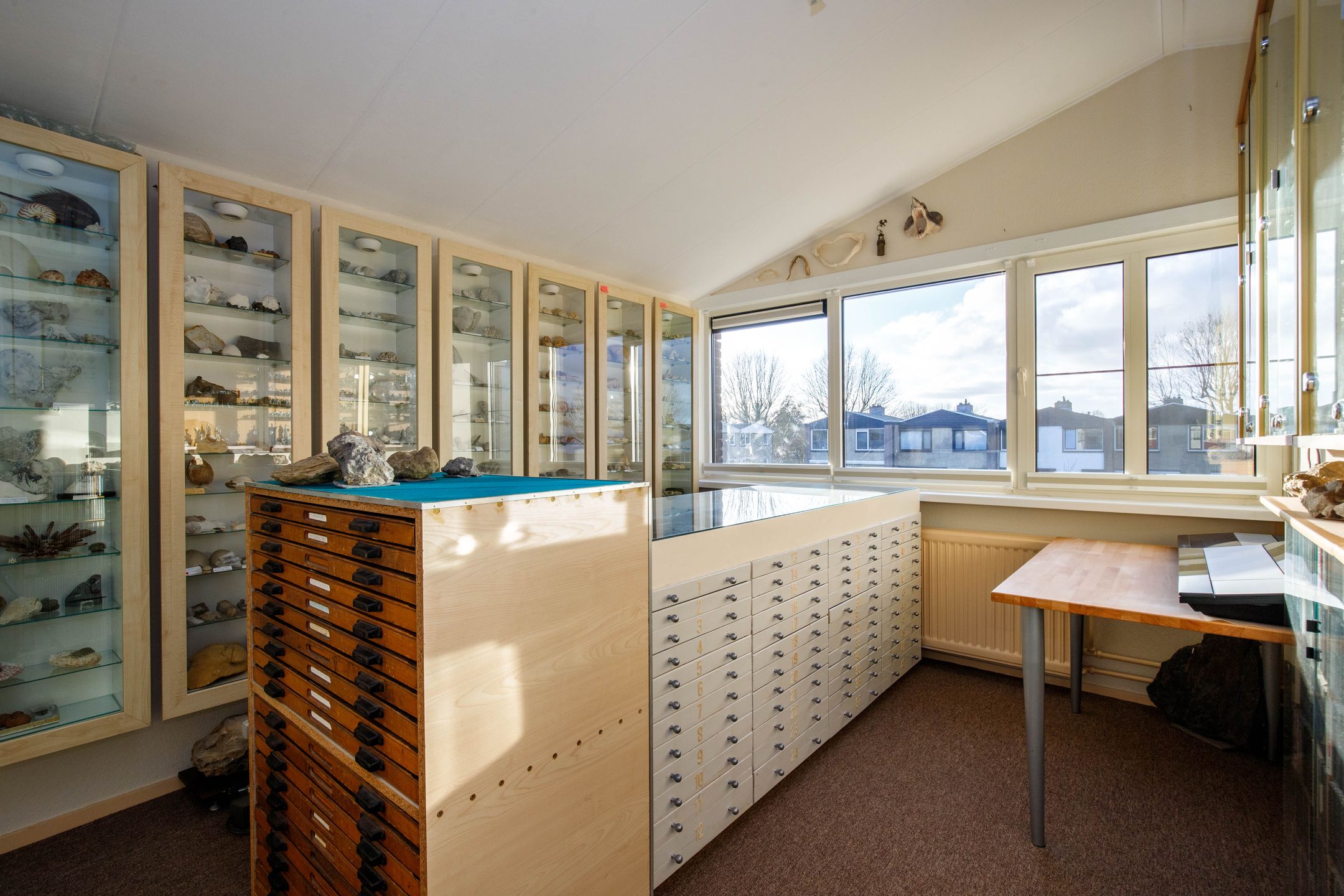 Foto 30 van Linnaeushof 6