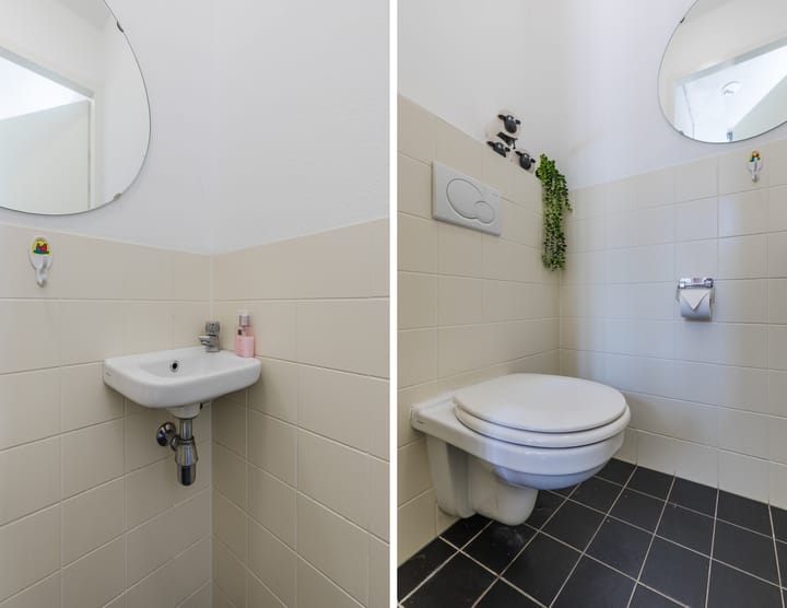 Foto 15 van Graslelie 3